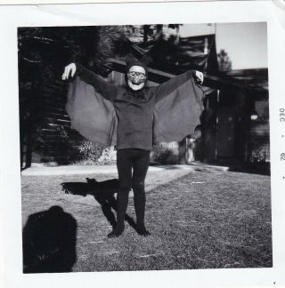 Vintage Snapshot: Young Child Dressed In Bat Halloween Costume,  Spreading Wings