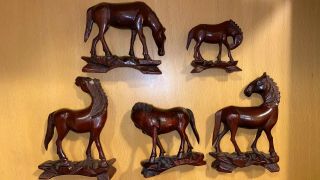 5 Asian Padauk Wood Horse Figurines With Glass Eyes