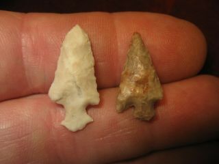 2 Authentic Oregon Bird Point Arrowheads,  Ancient Indian Artifacts,  Points,  Or4