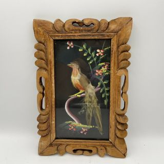 Vintage Antique Feather Art Bird Picture Mexican Folk Art Feather Craft Framed