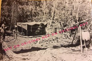 Vintage USMC WWII Photos Battle of Guadalcanal Fighting Bombs Graves Plane Crash 5