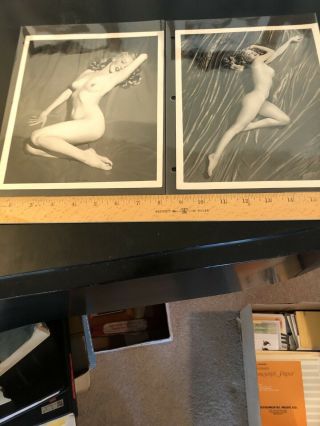 Marilyn Monroe Photos From 1953.