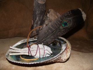 Sage White Smudge Smudging Kit Peacock Feather Sage & Abalone Shell Shaman