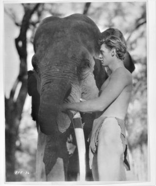 Johnny Weisemuller,  " Tarzan,  The Ape Man.  " 1932,  Studio Still,  595 - 36,