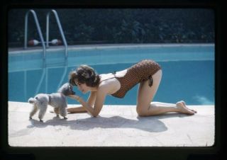 Natalie Wood Sexy Swimsuit Vivid Color Vintage Pin Up 35mm Transparency