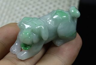 Cert ' d Green 100 Natural A JADE jadeite SMALL Statue Sculpture Dog 狗 981121 3