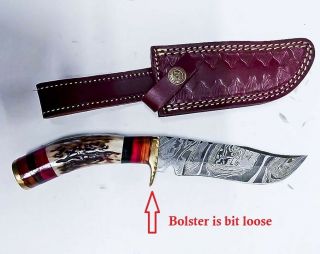Custom Handmade Damascus Blade - 10 " Hunting Knife With Stag Antler Handle