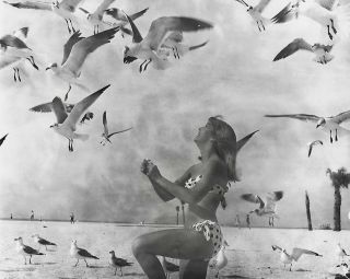 Vintage 1960s Bunny Yeager Photograph Polka Dot Bikini Wendy Mellish & Seagulls