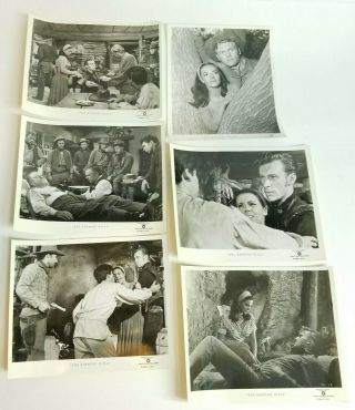 The Burning Hills Natalie Wood Tab Hunter Photograph Picture Movie Press Kit