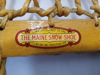 Vintage The Maine Snow - Shoe L.  L.  Bean Inc.  10 " X56  Guaranteed Not To Sag "