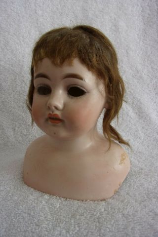 Antique Bisque Doll Head Marked Hch 4.  H Horseshoe Heubach Handwerck