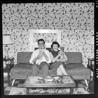 Vtg C.  1950s Photo Film Negative Arbus - Esque Young Couple W/ Two Chihuahua Dogs