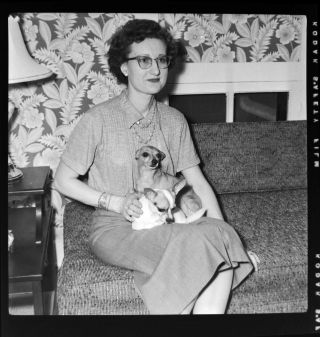 Vtg C.  1950s Photo Film Negative Arbus - Esque Young Woman W Her Two Chihuahua Dogs
