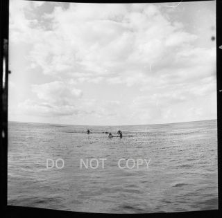 N991 12 1955 NEGATIVES.  SKINDIVE,  SPEAR FISHING,  SURFING,  COAST OF LA JOLLA CALIF. 6