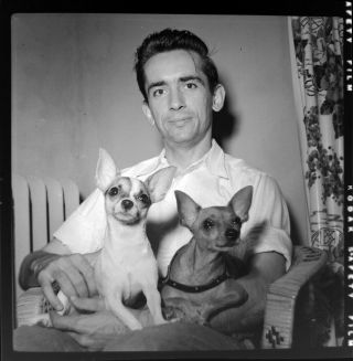 Vtg C.  1950s Photo Film Negative Arbus - Esque Young Man W/ His Two Chihuahua Dogs
