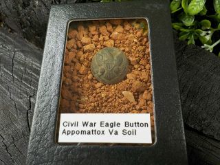 Rare Vintage Civil War Eagle Button In Appomattox Virginia Confederate Camp Soil
