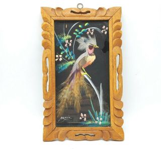 Vintage Mexican Bird Feather - Craft & Painted Picture Carved Wood Frame Wall Art