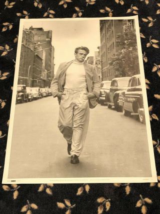 1982 Vintage James Dean Black And White Rare Poster - Size 25 1/4 " X 35 1/2 "