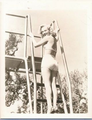 Mary Ganly 1940s 4 X 5 Leggy Cheesecake Swimsuit Pin - Up Photo Vv