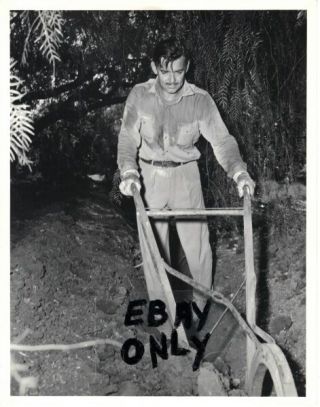 Clark Gable,  Candid 1946 Portrait,  Eric Carpenter Photo,  Double Weight