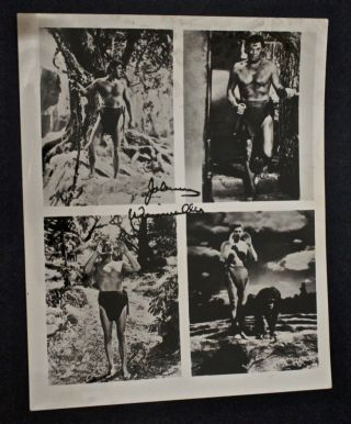 Johnny Weissmuller " Tarzan " Autographed 8x10 B/w Photo