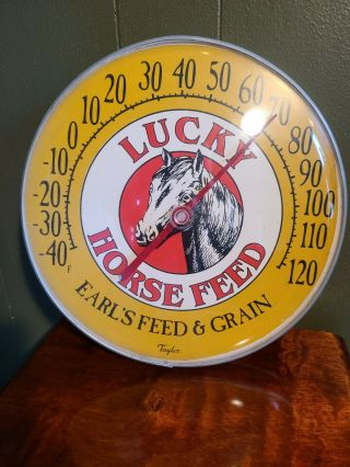 Lucky Horse Feed From Earl 