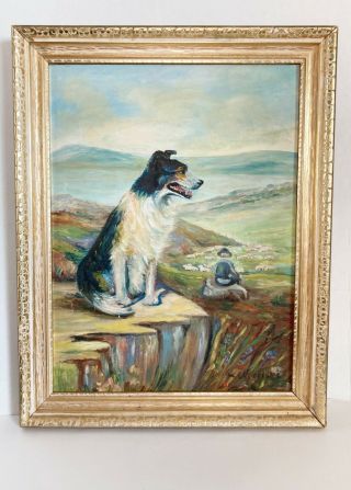 Vintage Painting Portrait Border Collie Dog W/ Shepherd And Sheep Landscape
