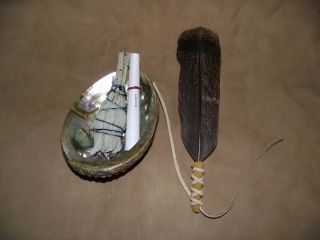 Sage White Smudge Kit Spirit Removal Cleansing Sage Abalone Shell And Feather