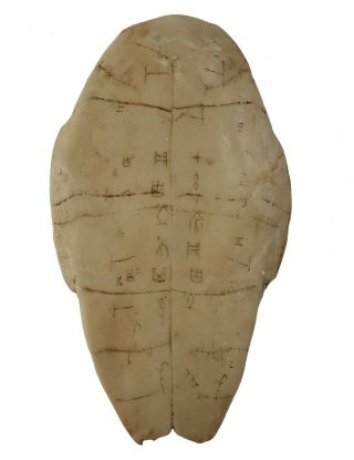 Resin Tortoise Shell Inscriptions / Chinese Ancient Script Oracle Inscription 01