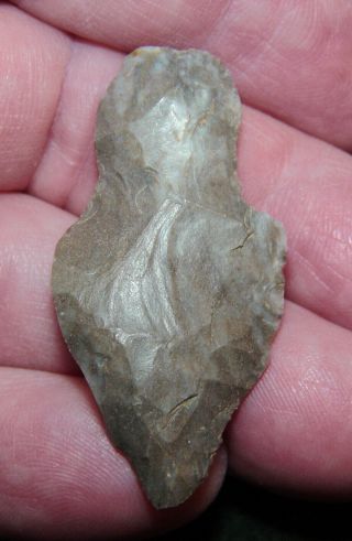 Native American Indian Late Archaic Hornstone Point -