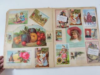 1880 ' s Trade Card Album with Hundreds of Cards / Tobacco Cards 3