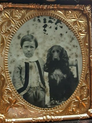 1850 ' s 1/6th Plate Ambrotype - Boy & His Dog - IRISH SETTER - Victorian Case 2