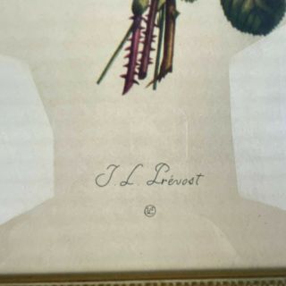 Vintage Antique Jean Louis JL Prevost Floral Flower Bouquet Framed Picture 3