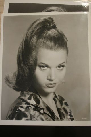 Jane Fonda Mgm Press Photo Headshot