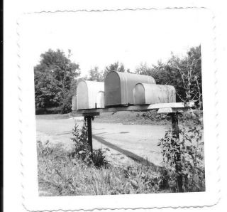 Vintage Photo Rural Mail Boxes Country Rural Road 1221