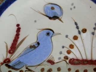 Ken Edwards - Tonala - Salad Or Wall Plate - Crested Blue Bird 8 "
