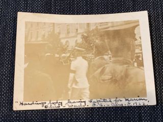 President Warren Harding Casket Funeral Vintage 1920s B&w Photograph