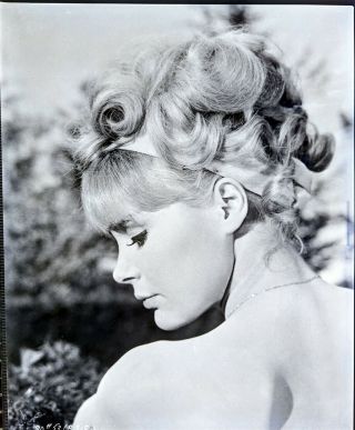 Elke Sommer 1960s 8 X 10 Sexy Glamour Negative Vv