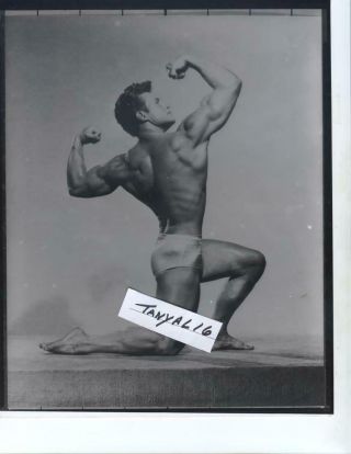Steve Reeves Handsome Muscle Bound Beefcake Body Builder 1950 