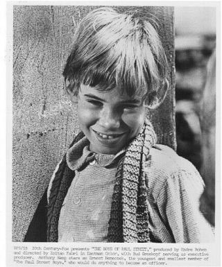 Anthony Kemp Young Actor 8x10 Press Photo The Boys Of Paul Street