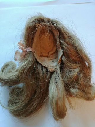 Antique Human Hair Doll Wig Brunette,  German French,  Removed From A Bisque Doll