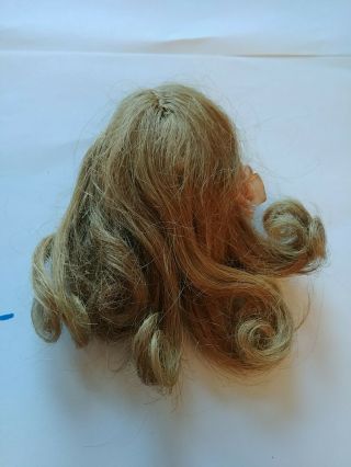 Antique Human Hair Doll Wig Brunette,  German French,  removed from a bisque doll 2