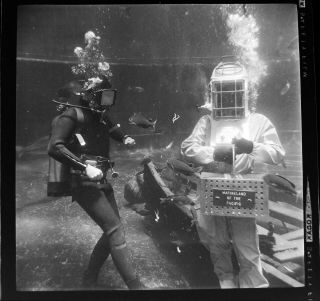 Vtg 1960s Photo Film Negative Marineland Scuba Diver Diving Helmet Feeds Fish 3