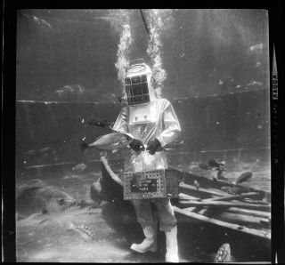 Vtg 1960s Photo Film Negative Marineland Scuba Diver Diving Helmet Feeds Fish 2