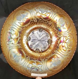 Vintage 1912 - 1920 Fenton Marigold Dragon & Lotus 8 " Carnival Glass Ics Bowl Wow