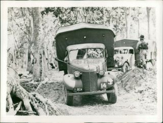 1941 Malaya British Defense Road Rubber Plantations Jungle Land Trucks Photo 7x9