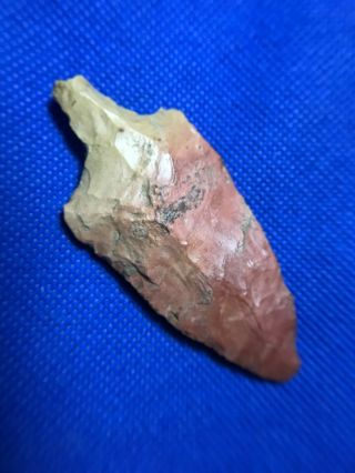 Adena Narrow Stem Point Native American Arrowhead Artifact