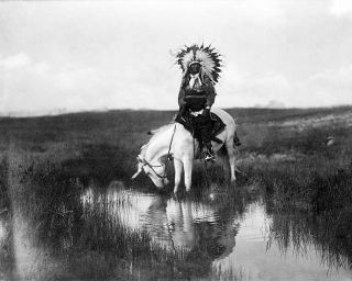Edward S.  Curtis Cheyenne Indian On Horse 8x10 Silver Halide Photo Print