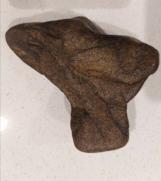 Ancient Bird Rock Effigy - Native American Artifact Stone Tool - Northern Utah
