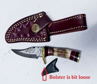 Custom Handmade Damascus Blade - 6.  0 " Hunting Knife With Stag Antler Handle